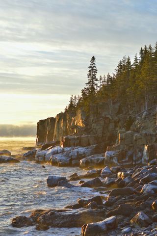 Sunrise light on the coastal cliffs at Acadia National Park, Maine
