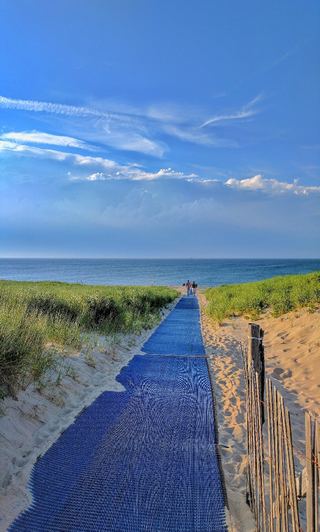 A matted path over the dunes down to the water on Cape Cod