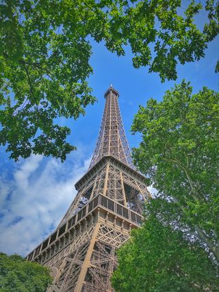 The Eiffel Tower from directly below, framed by plane trees