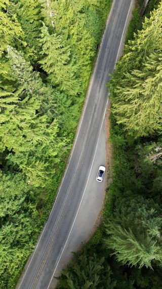 An aerial view straight down onto a road cutting through dense conifer forest in Washington