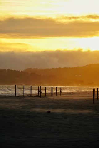 Fence posts along Stinson Beach at sunset with a fog-covered ridge behind