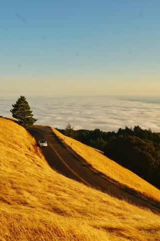 A car on Ridgecrest Boulevard above the fog layer on Mount Tamalpais, Marin County, California