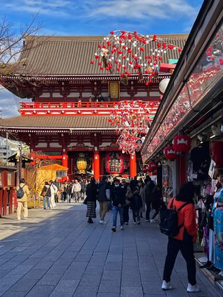 The Hozomon gate and New Year decorations above Nakamise-dori, Asakusa, Tokyo